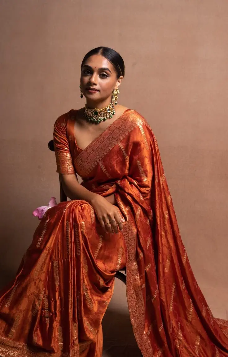 New Latest Wedding Saree 6